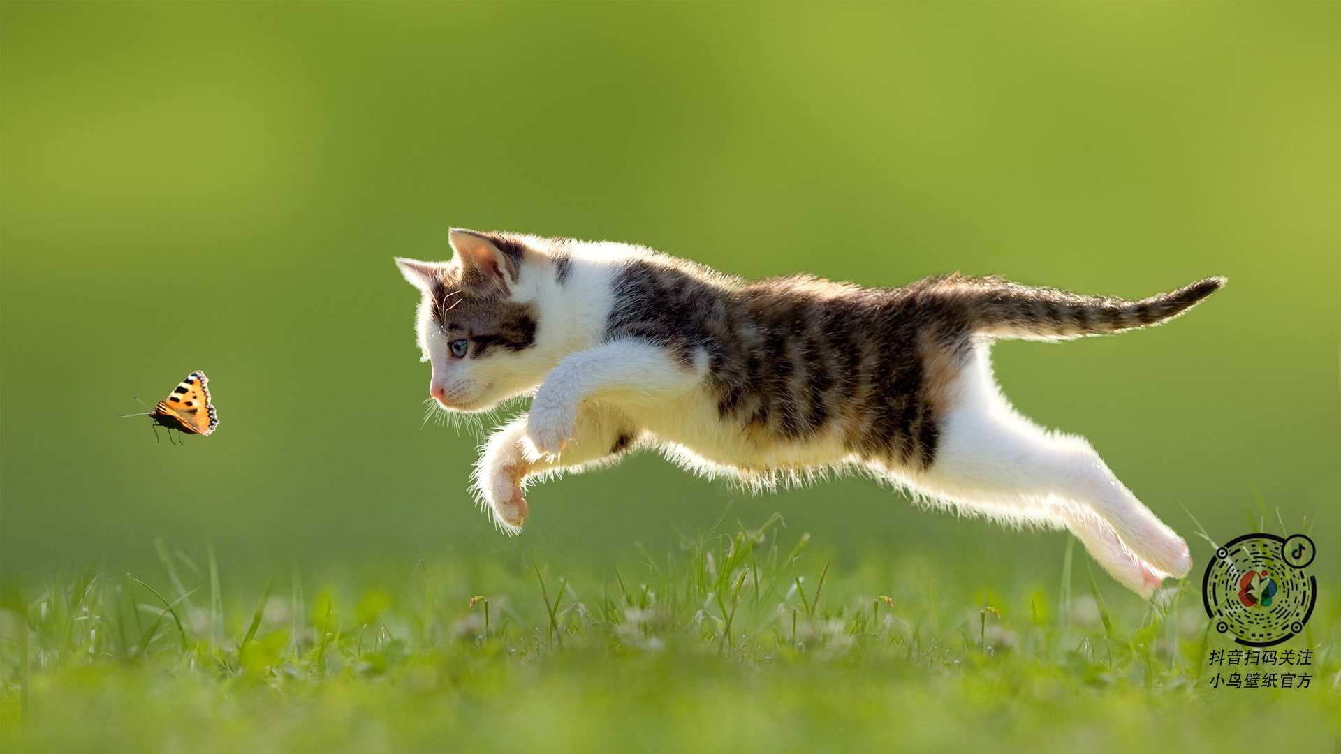 开云体育官网-瑞士碾压葡萄牙，奥斯梅恩带动全队节奏的战术完胜