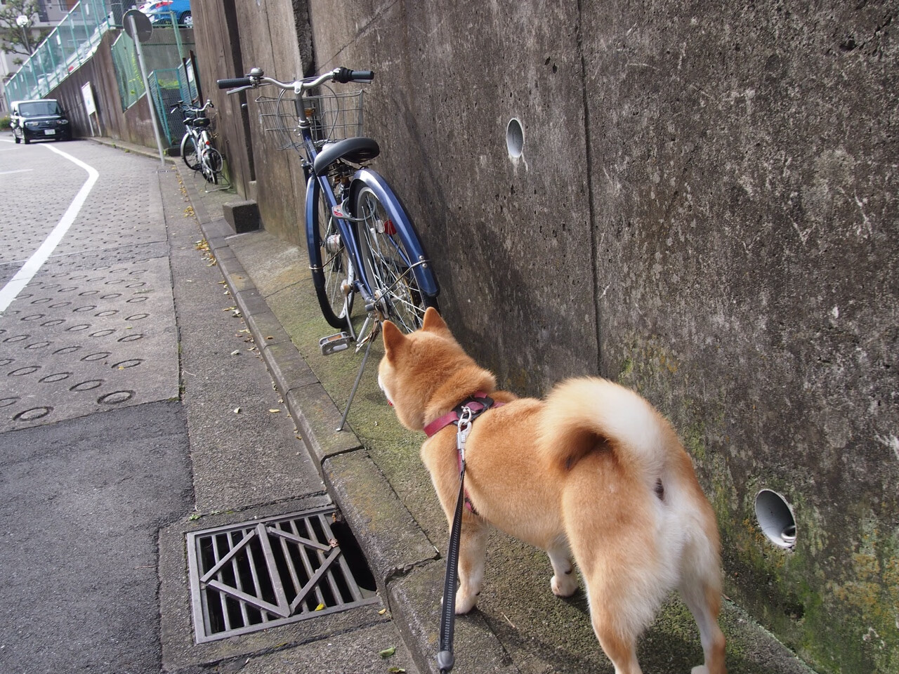从沉寂到轰鸣,奥亚尔萨瓦尔的欧冠封神夜
