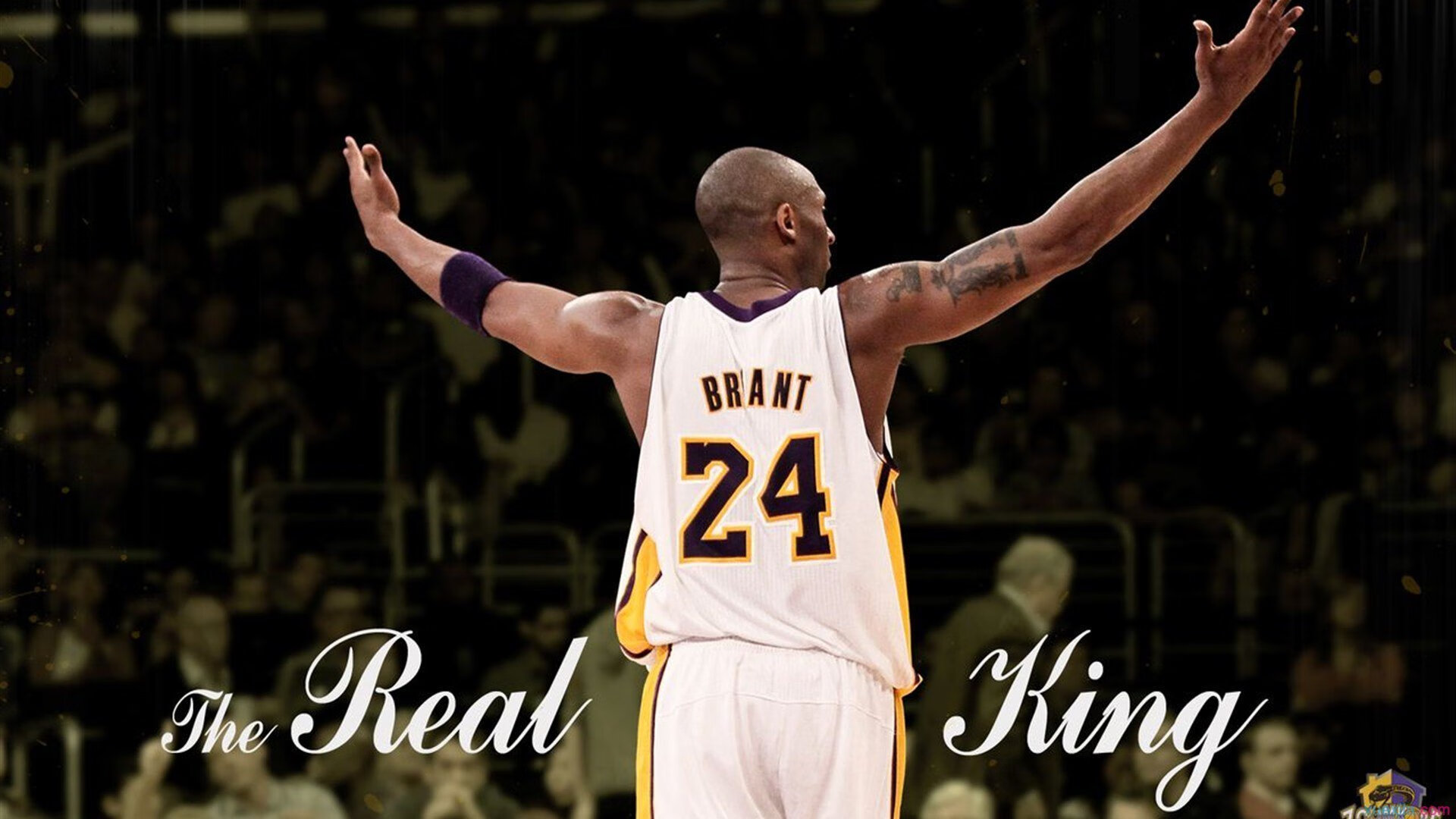 党是怎样炼成的?从NBA总决赛挪威带走几内亚看信息时代的眼球经济学